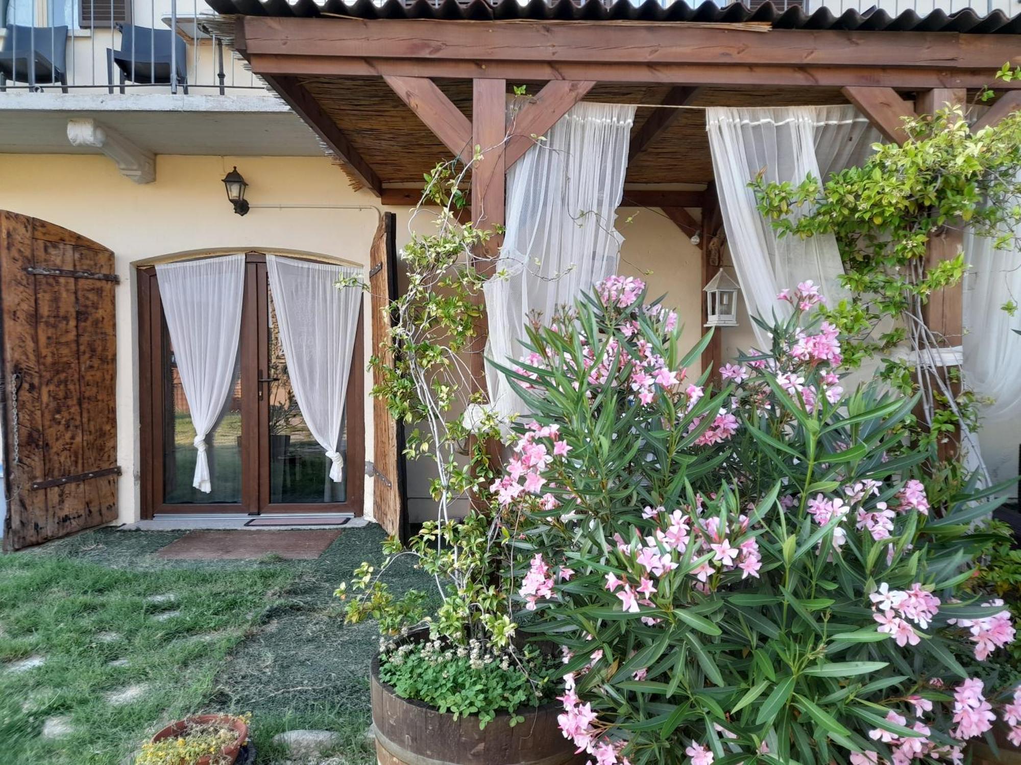 Madama Langa Country House Con Piscina Nelle Vigne Montelupo Albese Eksteriør billede